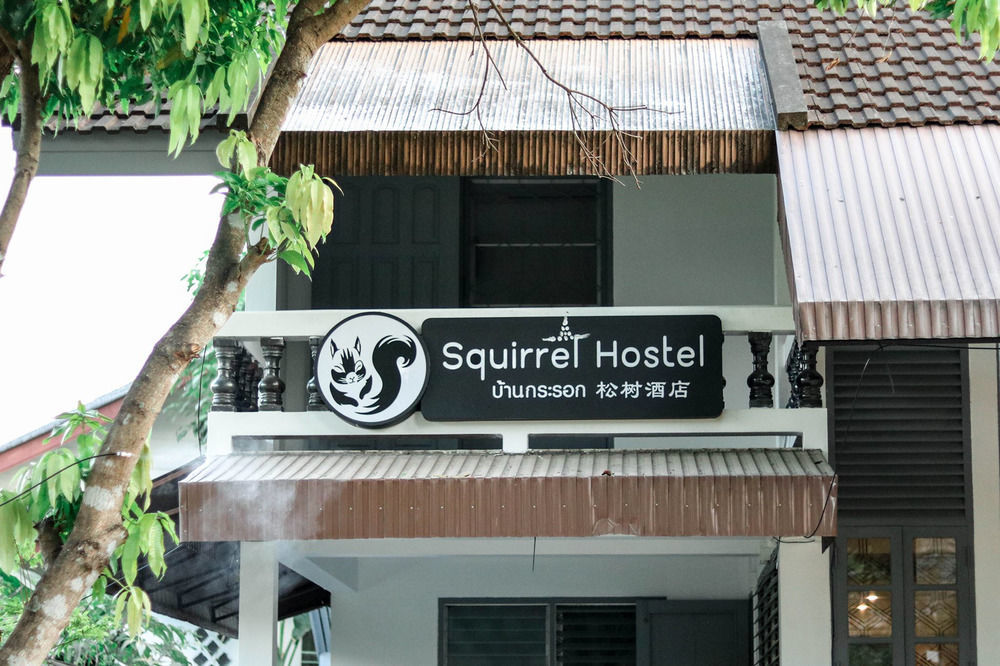 Squirrel Hostel Chiang Mai Exteriör bild